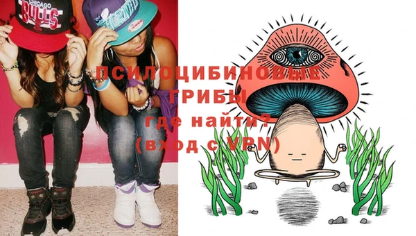 прущие грибы Алексеевка