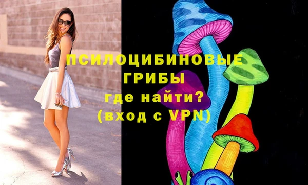 2c-b Абинск