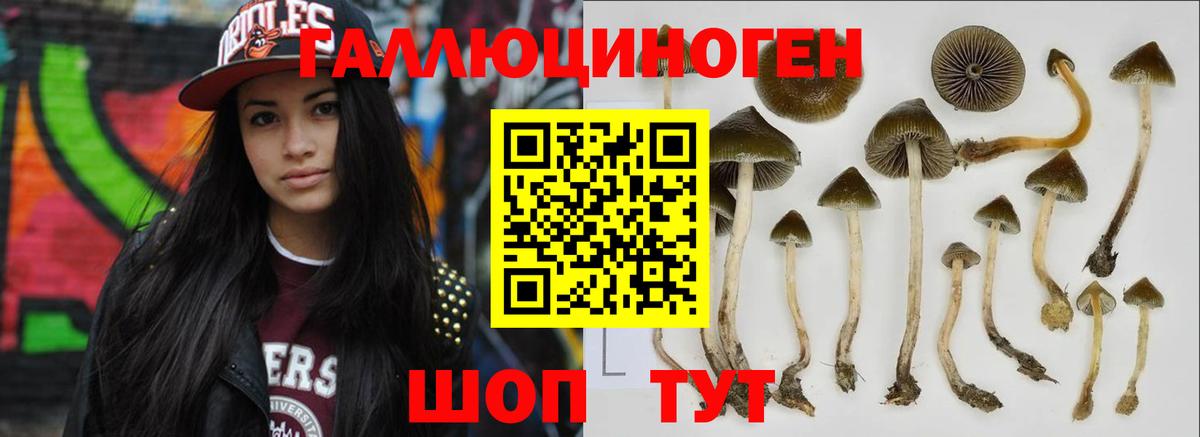 Псилоцибиновые грибы Psilocybine cubensis  Вход с VPN  Челябинск 